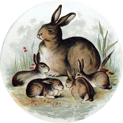 Emily's Image Garden: Mother Rabbit and Little Rabbits (Hares, Actually) Victorian Art