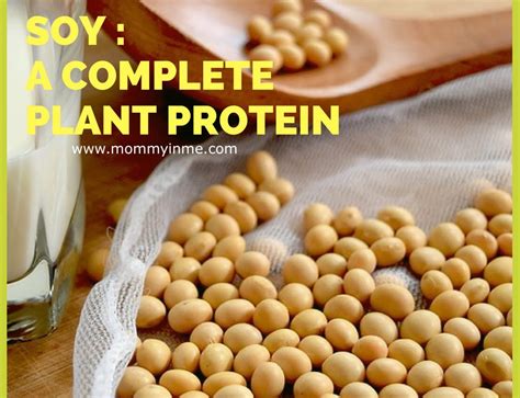 Soybean protein - Parenting & Lifestyle!