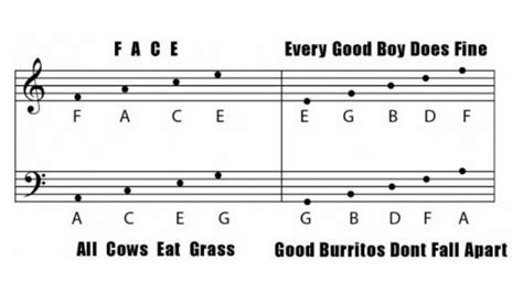 Tips and Tricks to Master Music Notations | Shaw Academy