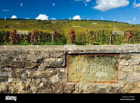 Engraved stone name plaque in boundary wall of 'La Tache' vineyard ...