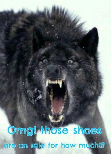 13 best Spirit wolves images on Pinterest | Wolf spirit, Wolves and ...