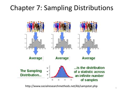 Sampling Distribution What Is It