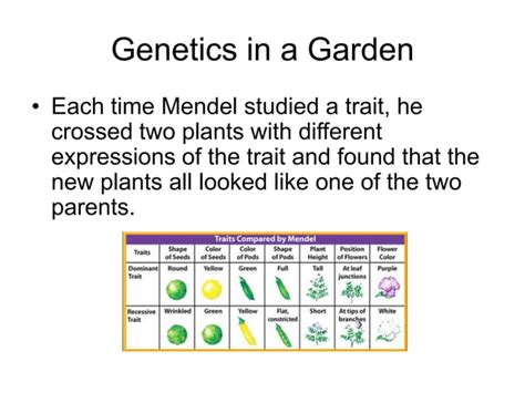 Genetics and Heredity