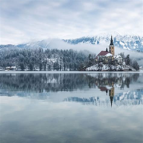 Lake Bled Winter Swimming Championships 2020 • Strel Swimming Adventure Holidays