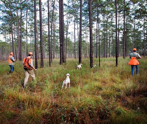 SouthWind Plantation « Sporting Classics Adventures