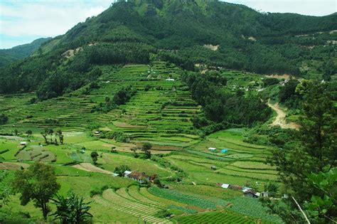 Munnar Vattavada Photos. | Flickr - Photo Sharing!