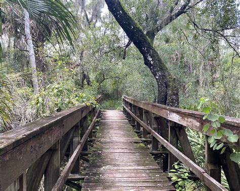 Little Manatee River State Park - Florida Lives