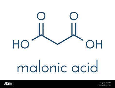 Malonic acid organic dicarboxylic acid molecule. Skeletal formula Stock Vector Image & Art - Alamy