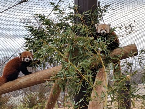 Oklahoma City Zoo announces $71 million project | blooloop