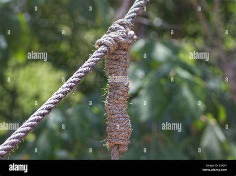 knots in a thick rope Stock Photo - Alamy