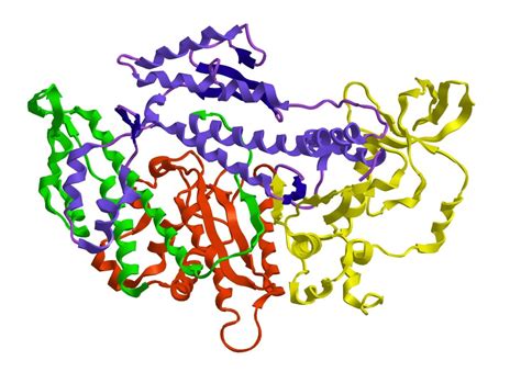 Concept 1 - Globular Protein - Get My Grades