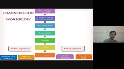 Transfection Methods and Techniques - YouTube