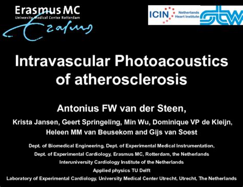 Intravascular Photoacoustics and Vasa Vasorum Imaging | tctmd.com