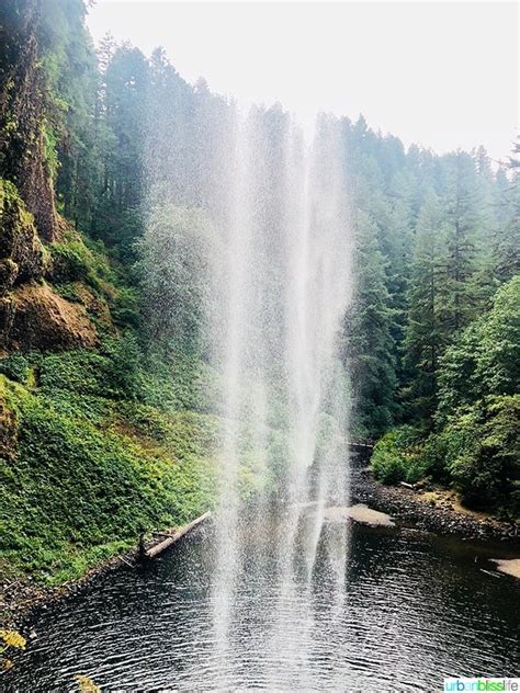 Hiking in Oregon: Silver Falls State Park - Hiking in Oregon - Urban Bliss Life