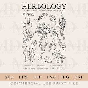 Herbology Plants SVG Mandrake Png Hogwarts Witchcraft and Wizardry Herbology Magic School SVG ...