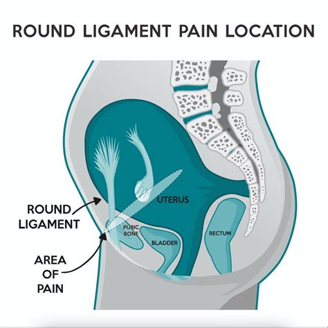 Pain In Breast Bone Pregnancy at Kenneth Jacobsen blog