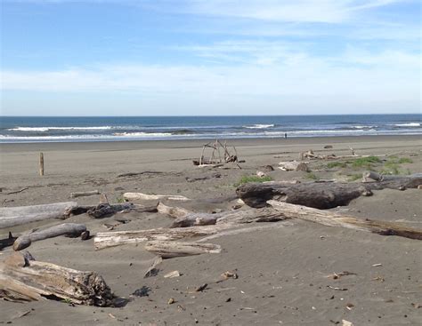 Grays Harbor Beaches