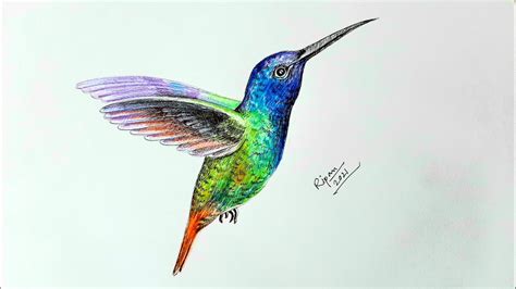 How To Draw A Realistic Hummingbird