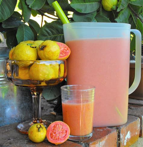 How to make fresh pink guava nectar – Artofit