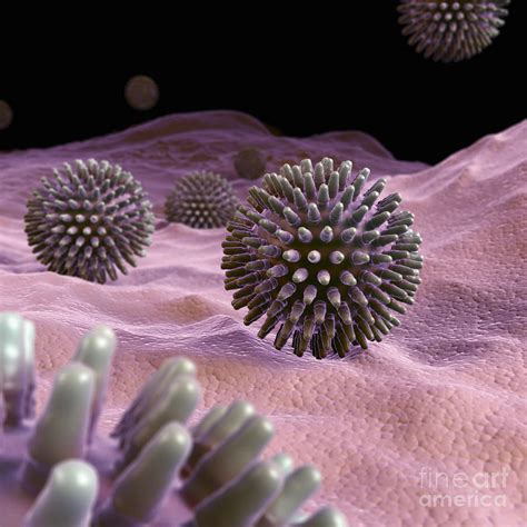 Swine Influenza Virus H1n1 Photograph by Science Picture Co