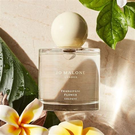 Frangipani Flower Cologne - Jo Malone London | Sephora in 2024