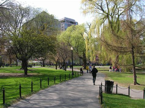 Finding Beauty and Nostalgia in the Nation's Oldest Park