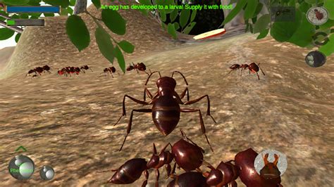 Ant Simulation 3D - Insect Survival Game - Apps on Google Play