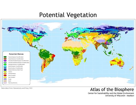 Vegetation | Environment University Of Wisconsin-madison, Biomes, Atlas, Sustainability, Maps ...