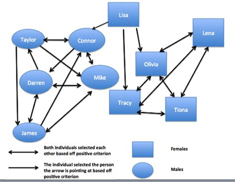 Sociogram: Definition & Examples - Video & Lesson Transcript | Study.com