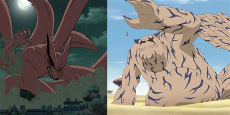 Naruto: Kurama & Shukaku's Lifelong Rivalry, Explained