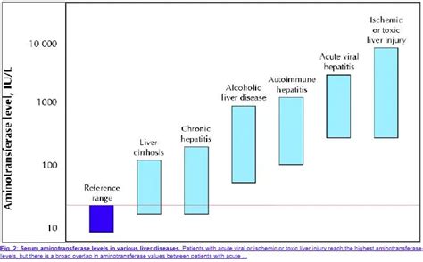 Top Causes of Elevated Liver Enzymes (AST & ALT)