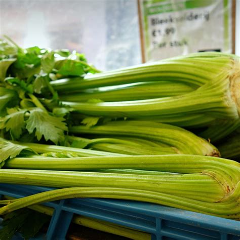 Celery and Nutrition: The Latest Research | NutritionFacts.org