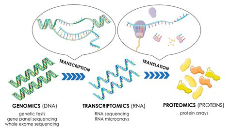 ?What is Transcriptomics | gutmicrobiotaforhealth