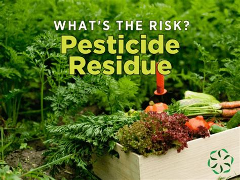 What's the risk? Pesticide residues - Center for Research on Ingredient Safety