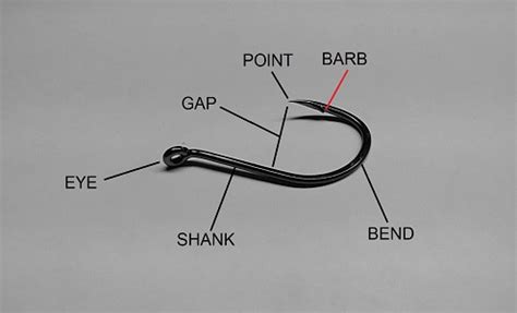 Fishing Hook Anatomy Parts & Features of Hooks Explained