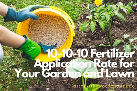 How To Use 10-10-10 Fertilizer for Your Garden and Lawn