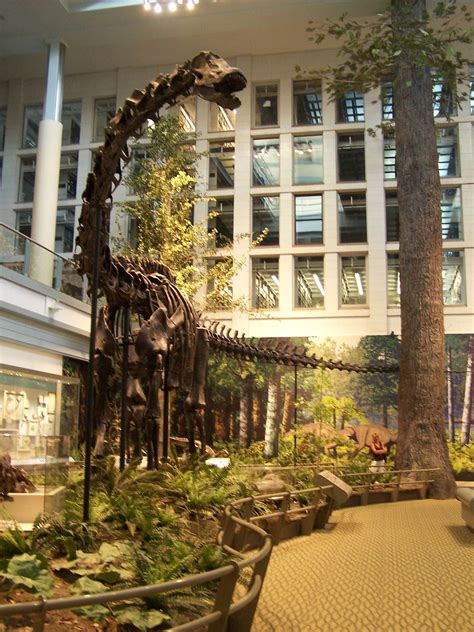 Carnegie Museum of Natural History’s - Dinosaurs in Their … | Flickr