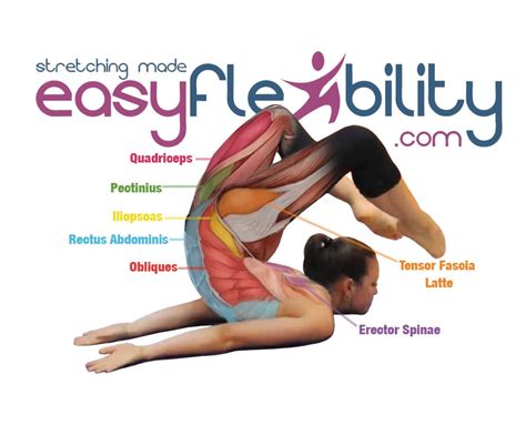 gymnastics template for products – EasyFlexibility