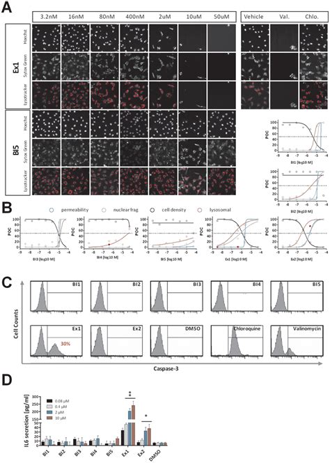 Wet laboratory validation of in silico results. Functional assays were ...