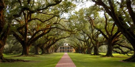 Oak Alley Plantation