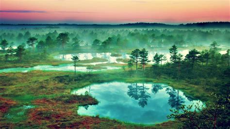 Estonia Nature Wallpaper 95659 - Baltana