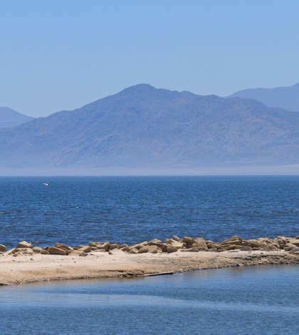 Imperial Irrigation District calls on state water board to adopt roadmap for Salton Sea ...