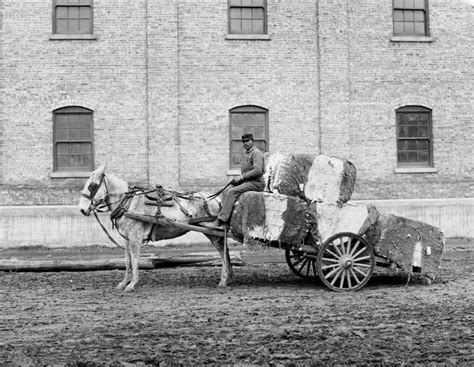 Rare Historical Photos Of old Mobile, Alabama From Early 20th Century