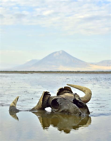 Lake Natron: Deadly to Most Life, but the Flamingos Love It » Explorersweb