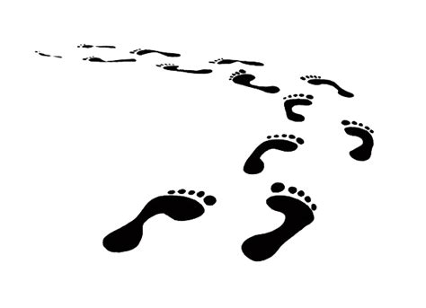 Collection of Footsteps PNG HD. | PlusPNG