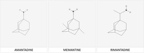 Frontiers | Adamantanes for the treatment of neurodegenerative diseases ...