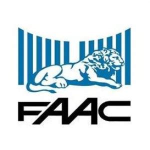 Faac Gate Automation