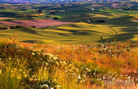 Palouse, Washington | Jason Savage Photography