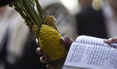 How to shake a lulav by The Jerusalem Post - watch - Israel News - The ...