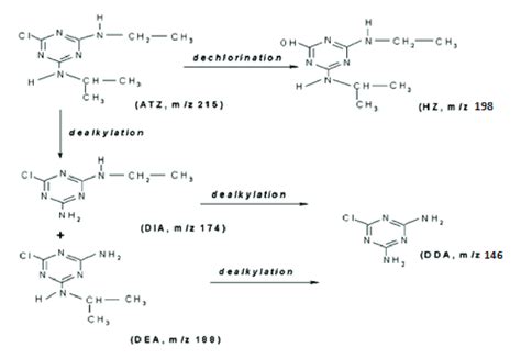 Chemical structure and potential degradation pathways of the main ...